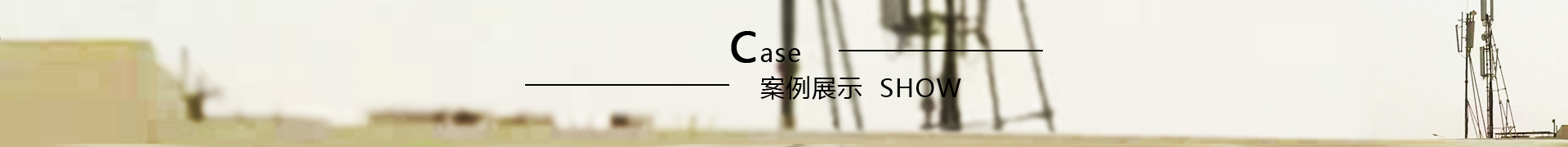 案例展示 案例展示